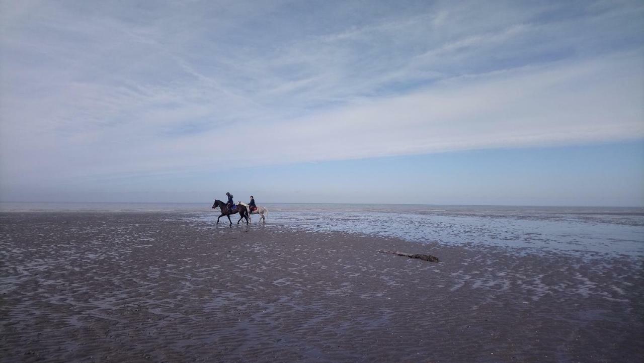 Stella Le Touquet Berck T2 Stella-Plage Exterior foto